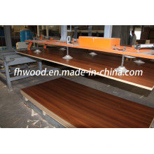 Melamine Faced MDF (Medium-density Fibreboard) for Furniture